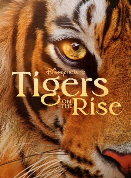 دانلود مستند ببرهای در حال ظهور 2024 Tigers on the Rise