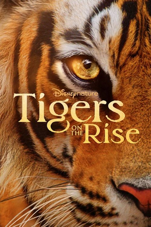 دانلود مستند ببرهای در حال ظهور 2024 Tigers on the Rise