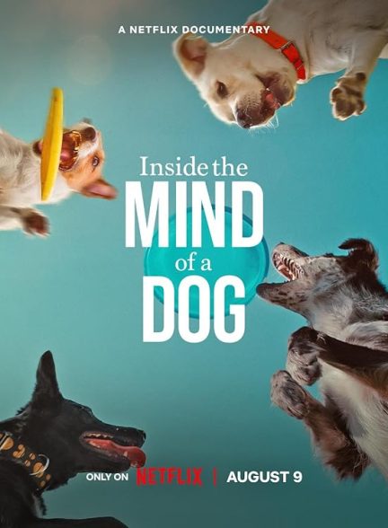 دانلود مستند درون ذهن یک سگ 2024 Inside the Mind of a Dog
