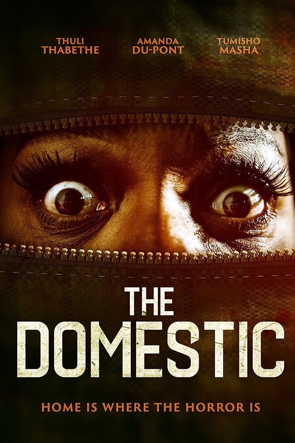 دانلود فیلم بومی 2022 The Domestic